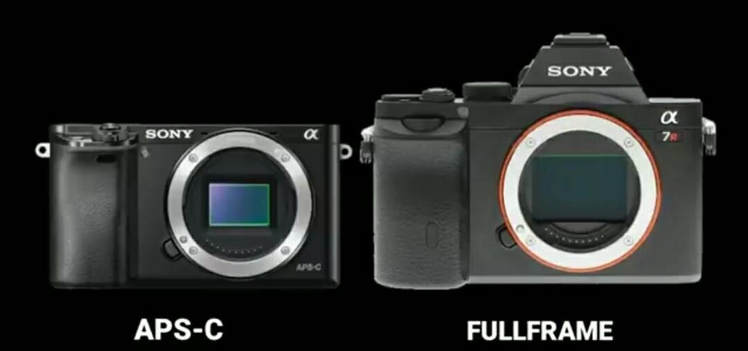 Perbedaan Antara Kamera Sensor Full-Frame Dan Kamera Sensor Aps-C