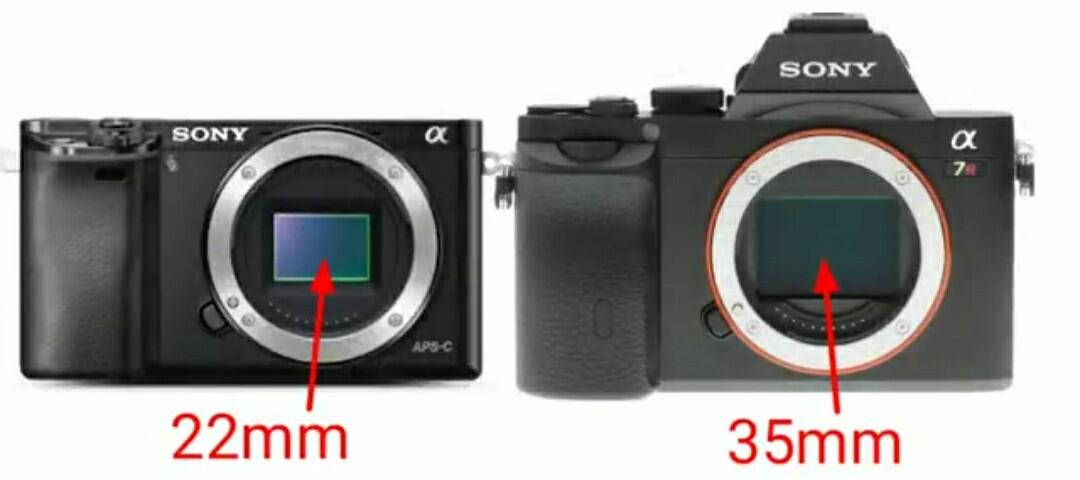 Perbedaan Antara Kamera Sensor Full-Frame Dan Kamera Sensor Aps-C