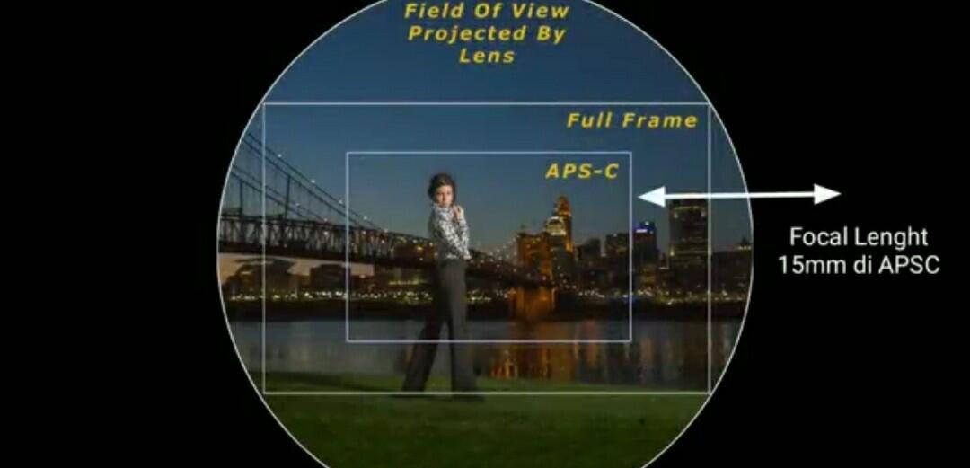 Perbedaan Antara Kamera Sensor Full-Frame Dan Kamera Sensor Aps-C