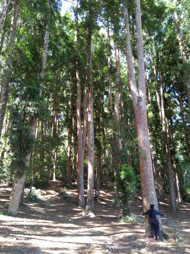 Danau Buyan, Pesona Alam Raya Berkemah