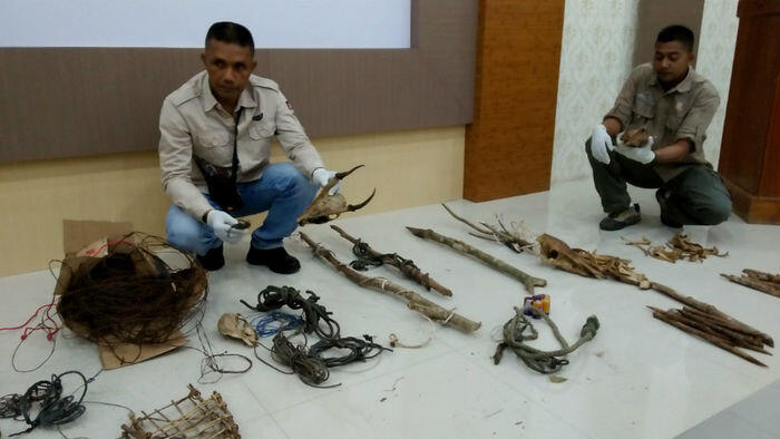 DPR Aceh siapkan hukuman cambuk untuk pemburu satwa