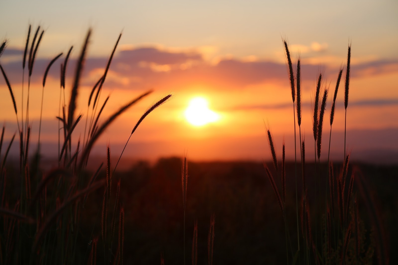 Senja Yang Hilang