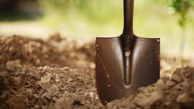 Digging the Assets – Estimating Real Value Pt. 1