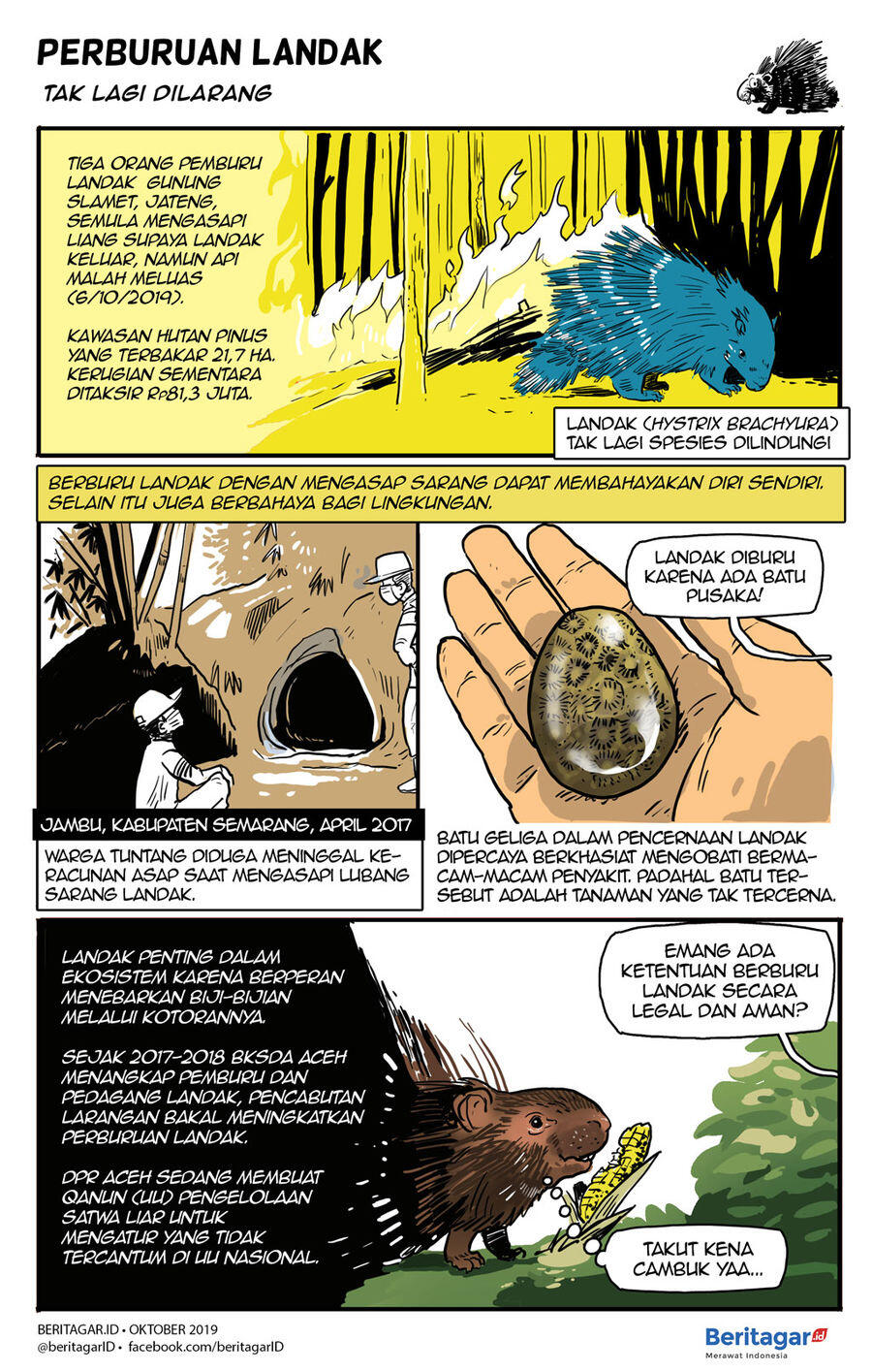 Komik: Memburu landak, mengincar batu di perutnya