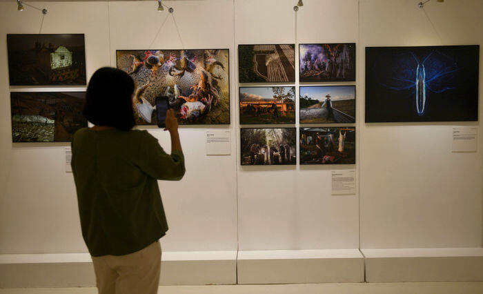Pemerintah diminta lindungi media arus utama