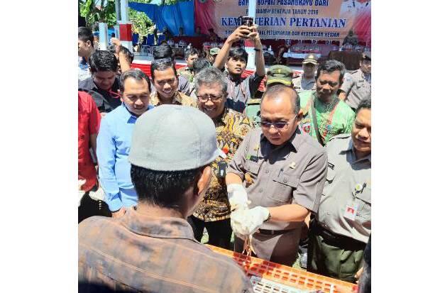 Bupati Pasangkayu Agus Ambo Djiwa Serahkan Bantuan Mentan untuk Warga Miskin