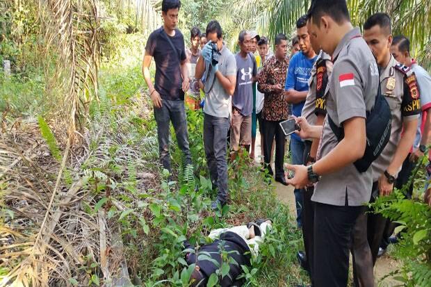 Heboh, Mayat Tukang Ojek Ditemukan di Kebun Sawit