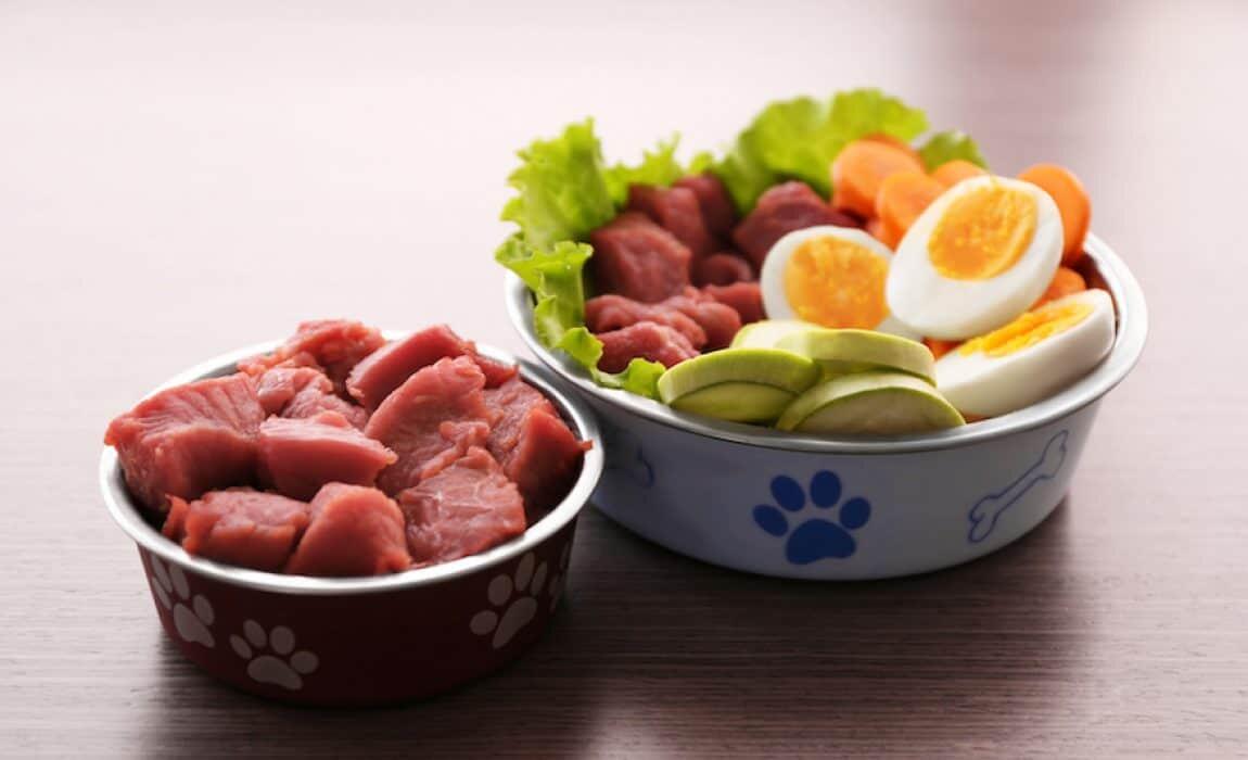 Pro Kontra Raw Food untuk Anjing Kesayangan Anda