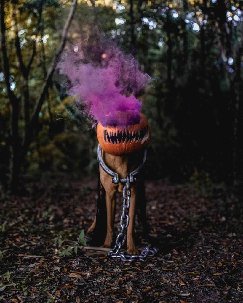 &#91;HALLOWEN&#93; Tetap Jaga Style Ya!