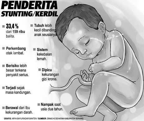 Ibu Hamil Dan Program Kerja Presiden Terpilih, Korelasinya Di Mana?