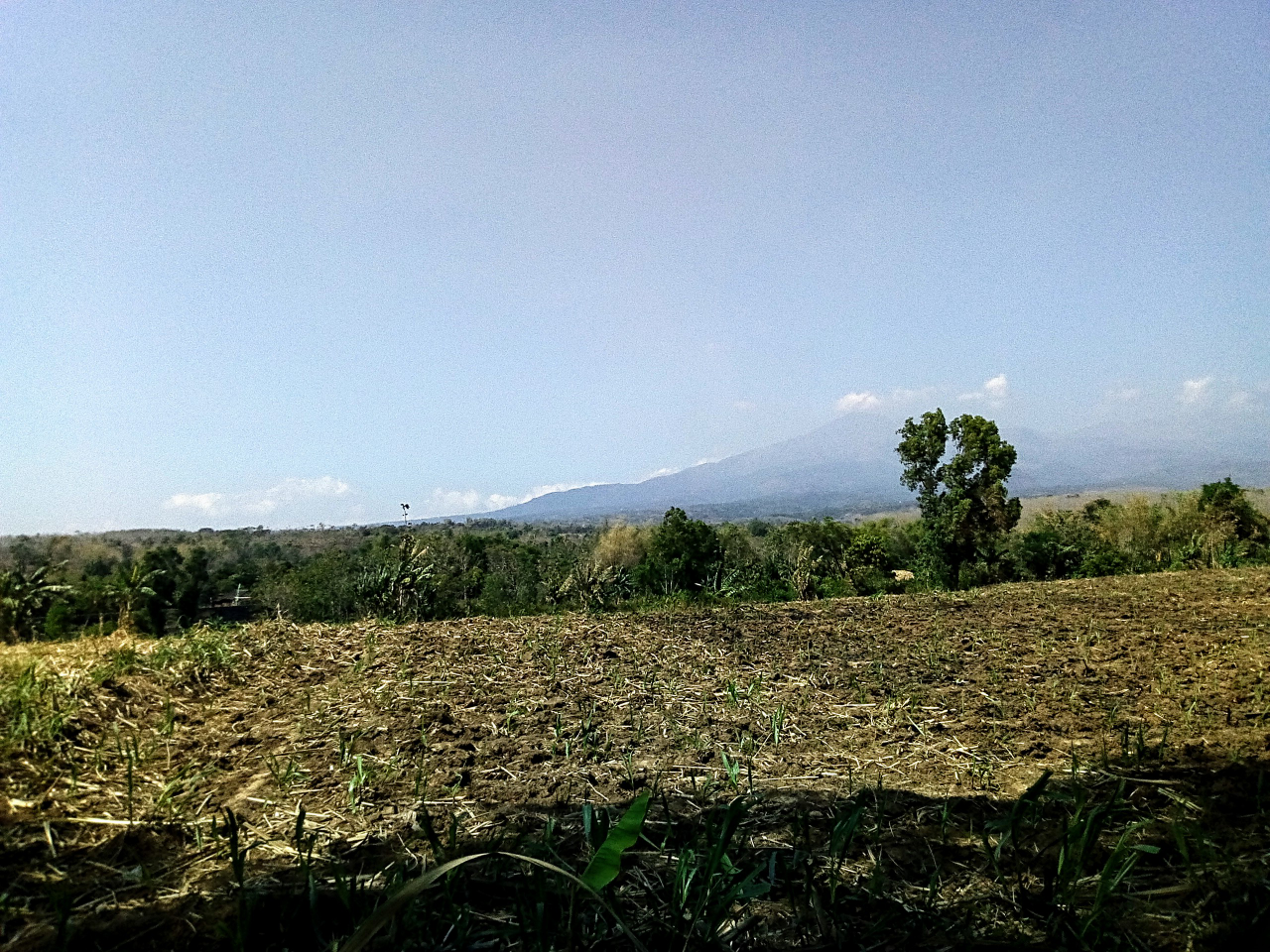 Meninggalkan Paras Cantiknya