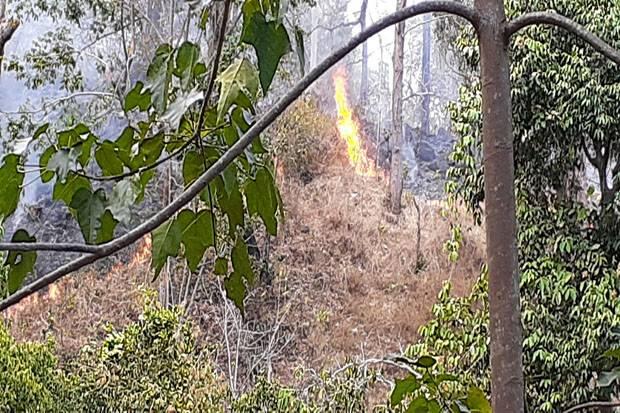 Hutan Lindung Egon Ilinmedo Kembali Terbakar