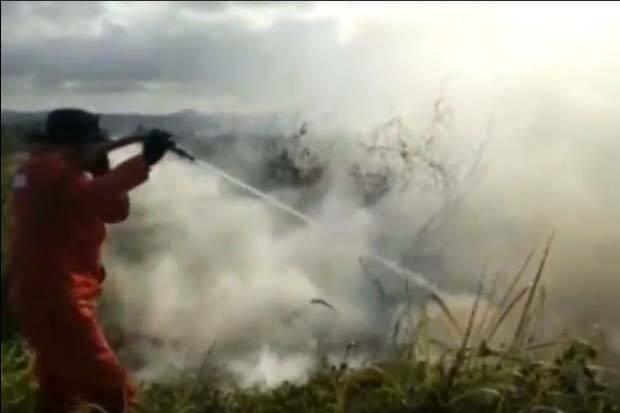 1,5 Ha Lahan Bandara Haluoleo Terbakar, Penerbangan Terganggu