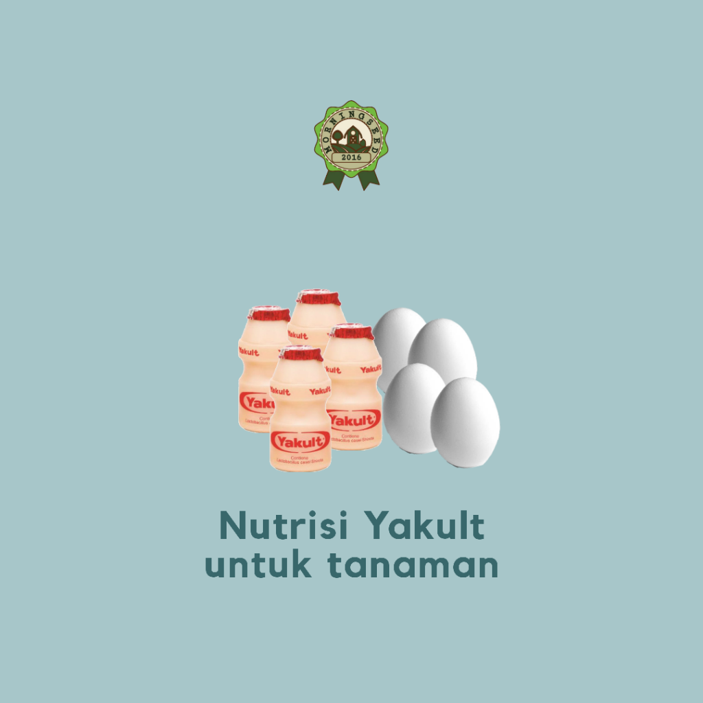 Menggunakan Yakult untuk mempersubur tanaman