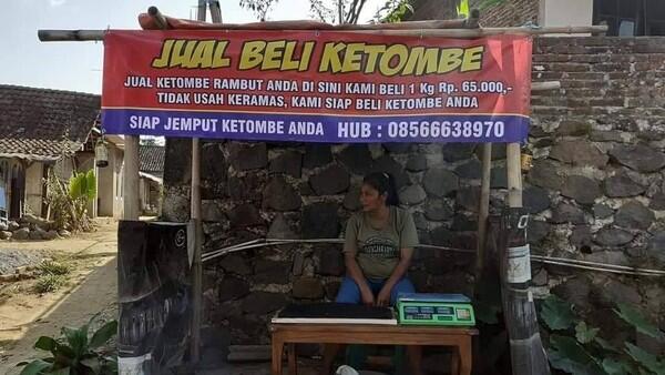 Heboh Ada Bisnis Jual Beli Ketombe Rp 65 Ribu/kg, Ini Faktanya!