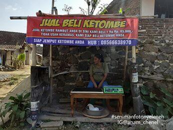 Viral Jual Beli Ketombe Rp 65.000/Kg Di Media Sosial, Berikut Ini Faktanya.