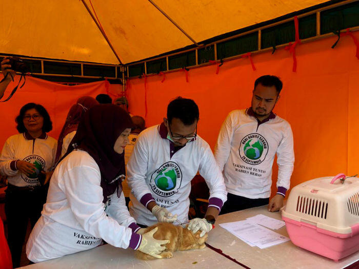 Pemprov DKI tanam cip di hewan peliharaan, pemilik senang