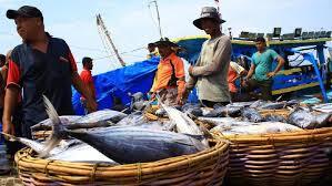 Peningkatan Hasil Laut Dan Menjadi Pesaing Jepang Harapan Saya Kepada Bapak Jokowi