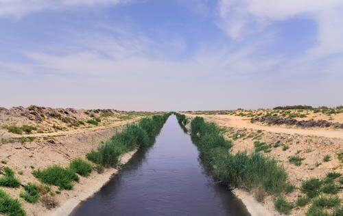 Sudah Tahu? Arab Saudi Punya Oasis Terbesar di Dunia