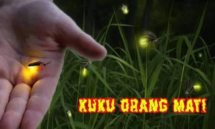 Baper! Kumpulan Gambar Ini Bakal Bikin Kamu Ingin Kembali Ke Masa Lalu