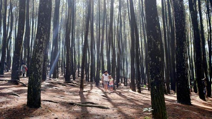 Mengintip 10 SPOT FOTO terbaik di Ibu Kota Baru Penajam Paser Utara