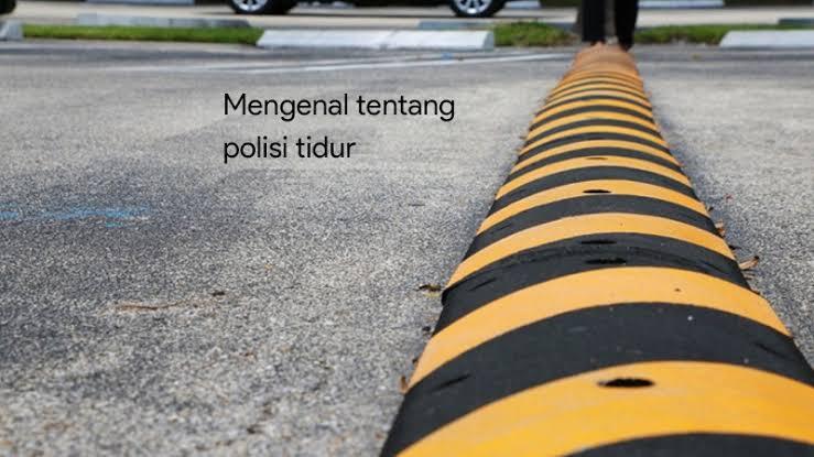 Apa Jadinya Jika Polisi Tidak Ada ?