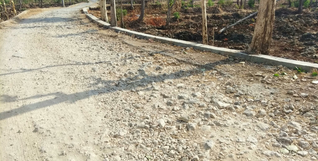 Menunggu Janji Jokowi Untuk Meningkatkan Semangat Pemuda
