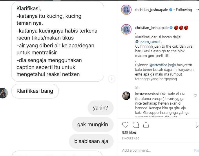 Biadab! Kucing Ini Dicekoki Ciu, Proses Sekarat Dibagikan Lewat Instagram Pula