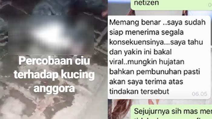 Setelah Viral Kucing Dicekoki Ciu, Pelaku Membuat Video Ungkap Fakta Sebenarnya!