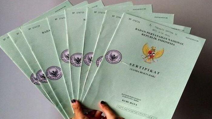Tiga Harapan Yang Pasti