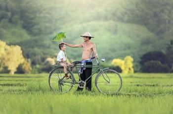 Sawah dan ladang, Bagian Dari Petani?
