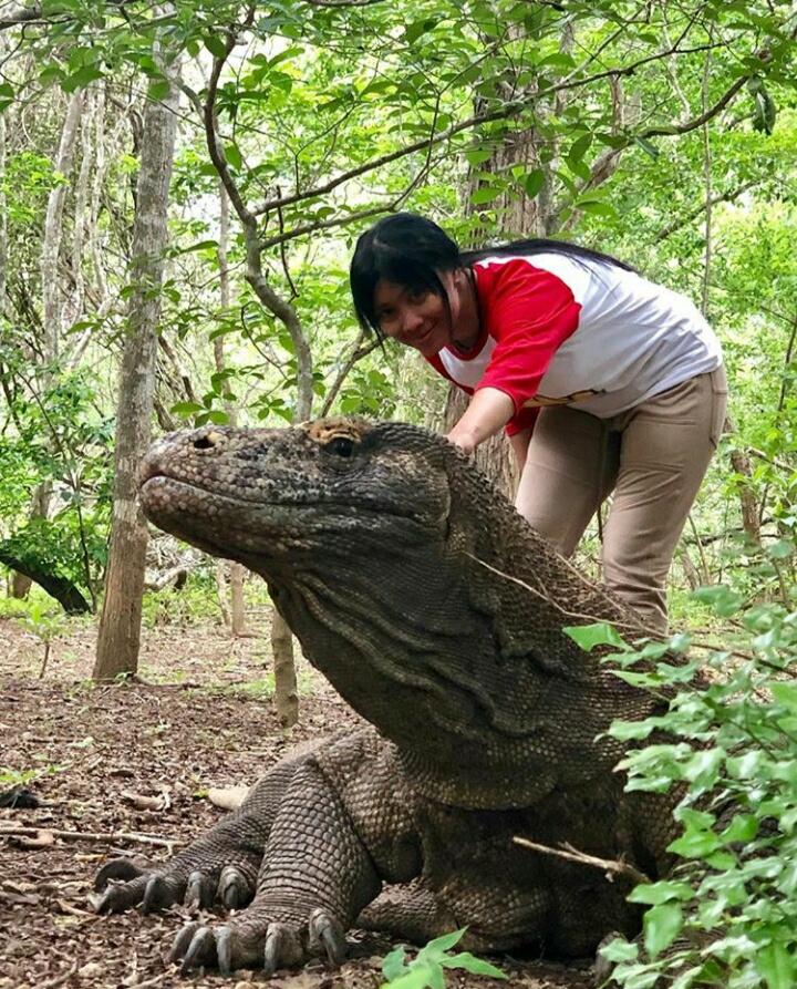 Menjadi Tempat Wisata Eksklusif, Pulau Komodo Akan Semakin Aman dan Terlindungi