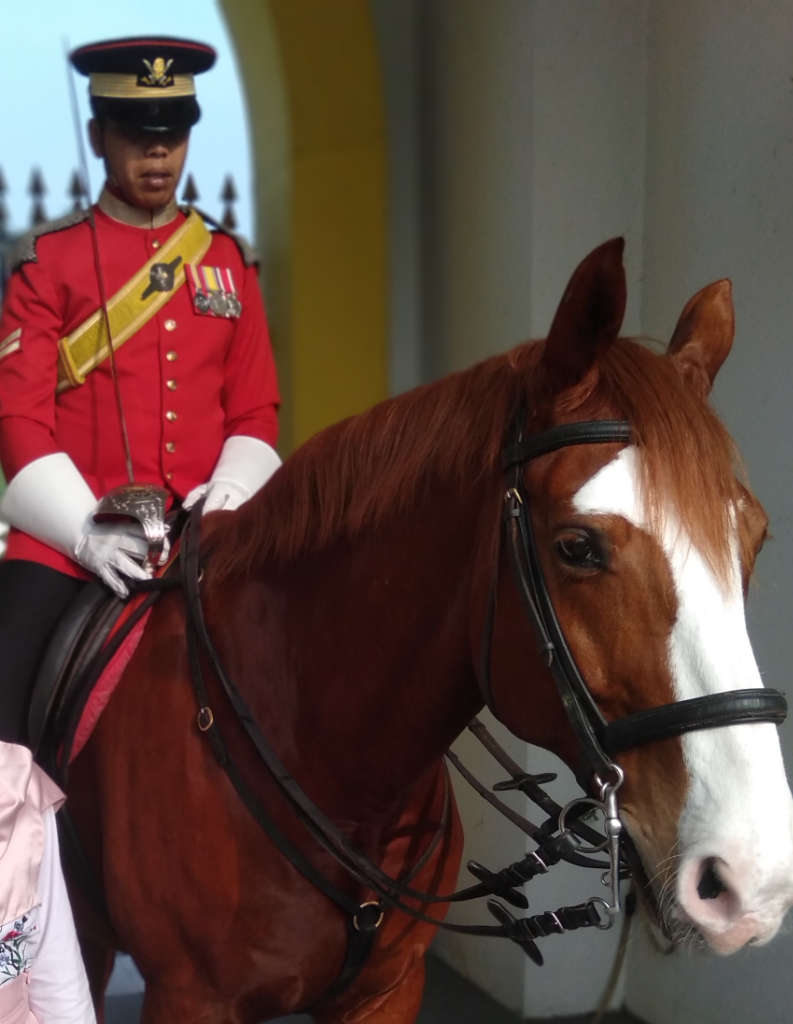 Lanjut Lagi ke Royal Palace dan Merdeka Square, Malaysia Yuk!