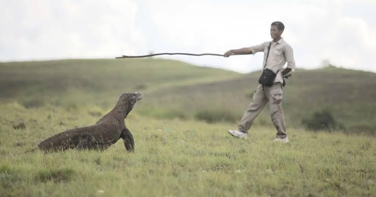 Masuk Pulau Komodo 14 Juta ? Kenapa Tidak Ditutup Saja Sekalian