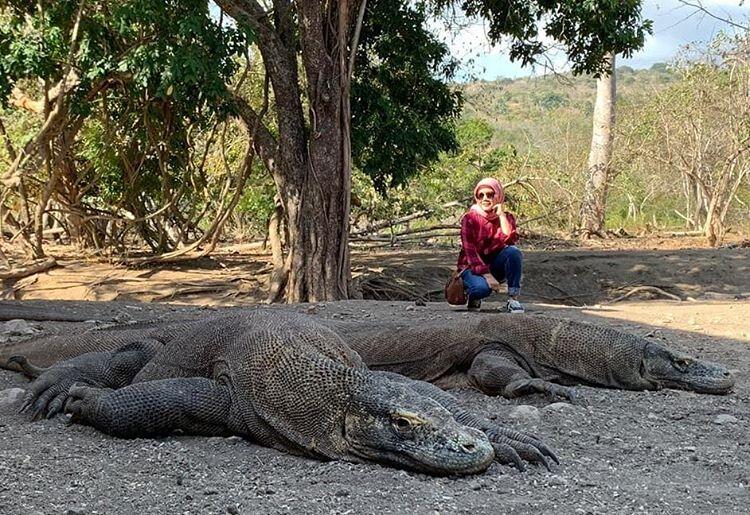 Antara Pulau Komodo dan Mimpi Masyarakat untuk Mengunjunginya