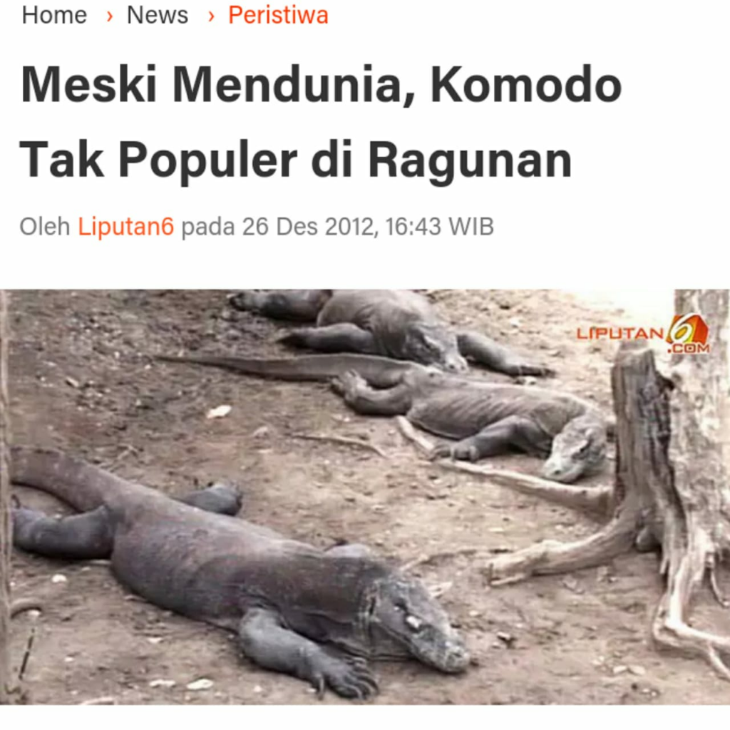 Fakta Unik Tentang Komodo, yang Terakhir Percaya Saja Gan!