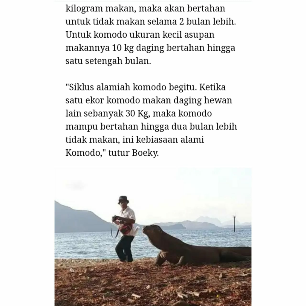 Fakta Unik Tentang Komodo, yang Terakhir Percaya Saja Gan!