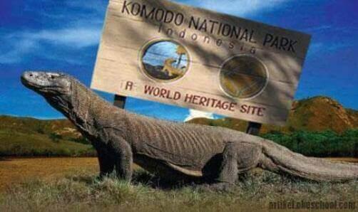 Kalau Hanya Demi Keamanan, Tidak Perlu Menaikan Tarif Tingkat Sultan! Yakin Aman?