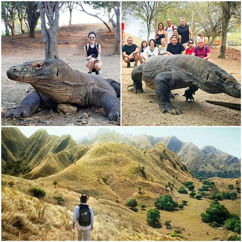 Wisata Premium Ala Indonesia Di Pulau Komodo Langkah Tepat Menjaga Kelestarian