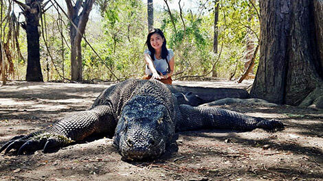 14 Juta Untuk Kenal Komodo, Mengapa Tidak, Inikah Alasannya?