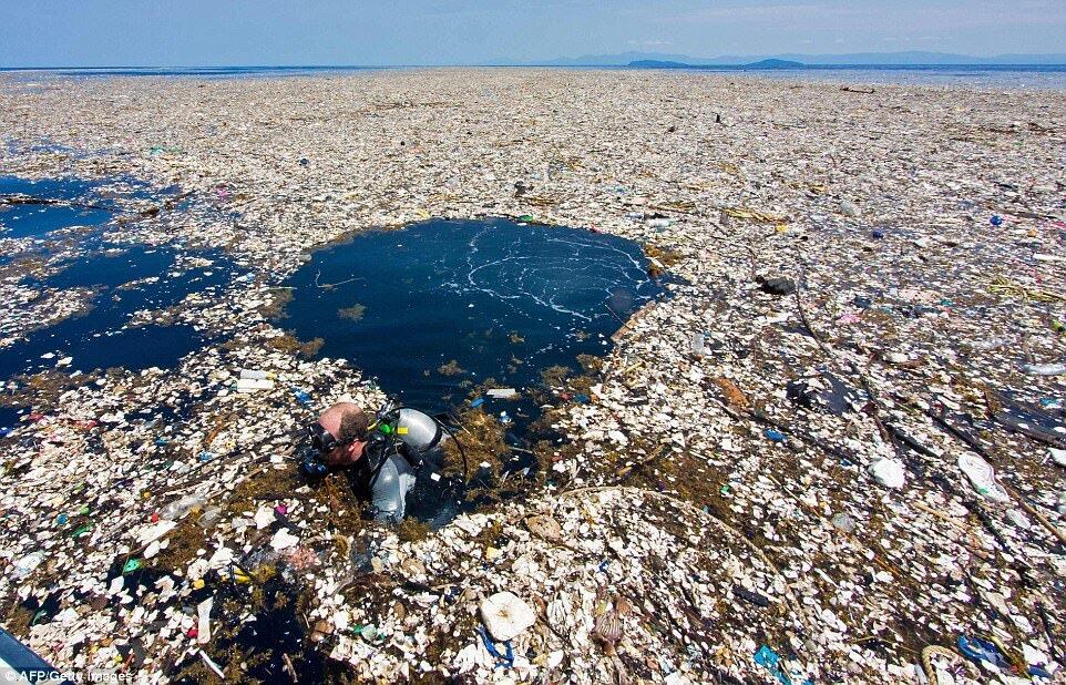 Mengenal Pacific Great Garbage Patch, Pulau Sampah Terbesar di Dunia