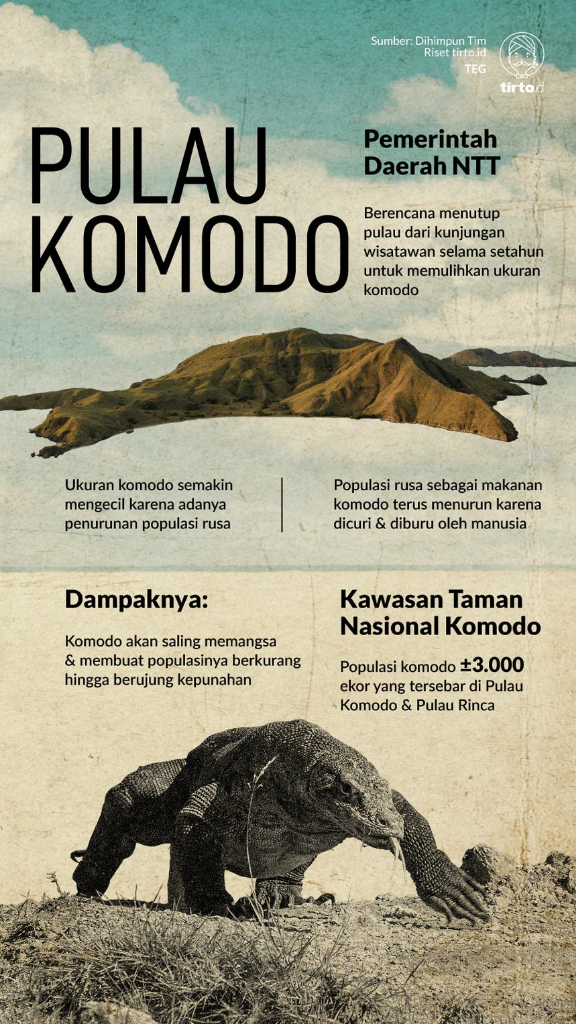 Komodo Hewan Predator Yang Homebody Dan Terancam Keberadaanya.