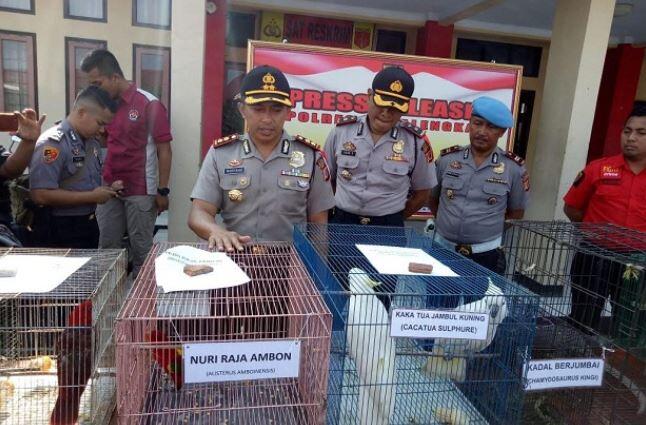 Ironis Jika Taman Safari Indonesia benar Terlibat Perdagangan Gelap Satwa Langka