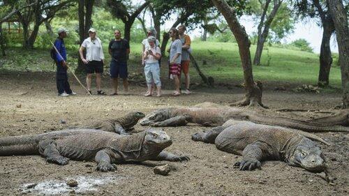 Alasan Dan Pertimbangan Pemerintah Menaikkan Tiket Masuk Pulau Komodo