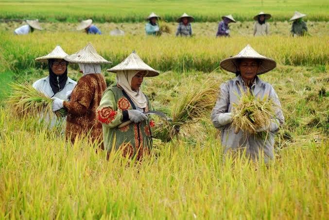 Mewakili Rakyat Kecil, Ini Harapan Saya Kepada Bapak Jokowi-Ma'ruf