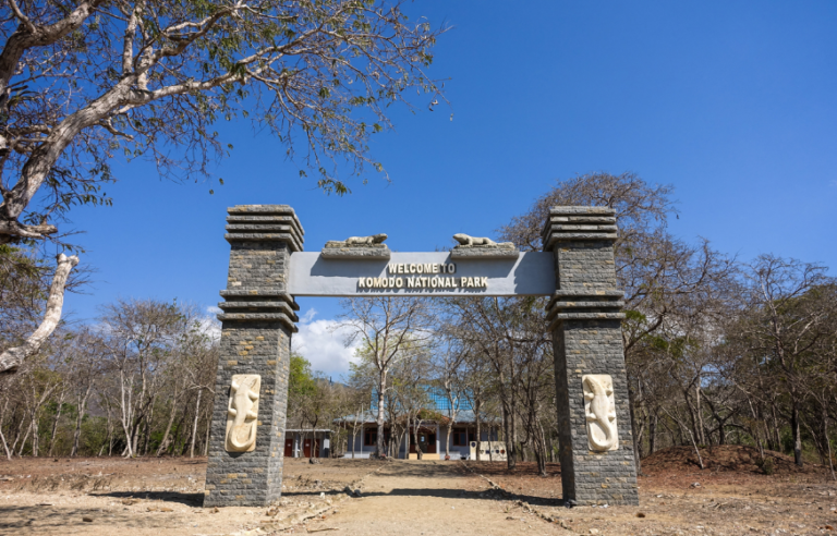 Alasan Kenapa Wisata Pulau Komodo dijadikan Wisata Premium 