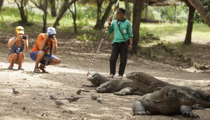 Tak Punya Duit 14 juta Jangan Mimpi Selfie di Pulau KOMODO