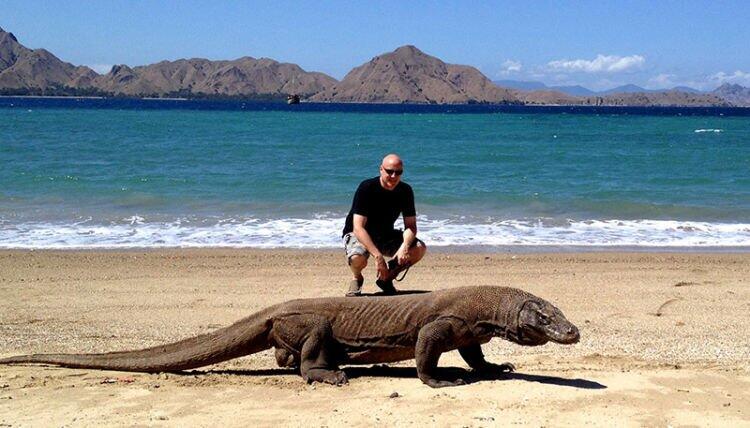 14 Juta Hanya Untuk Melihat Komodo? Ini Alasannya
