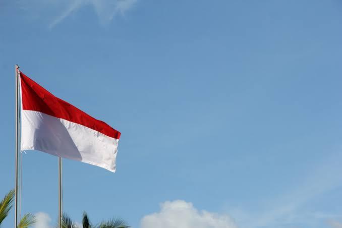 Perampingan Birokrasi Untuk Percepatan Indonesia Maju