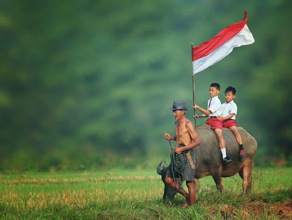 Sebuah Harapan Kembali Menjadi Macan Asia Di tangan Jokowi-Ma'ruf